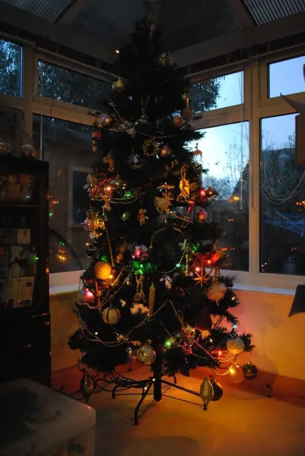 tree.webp