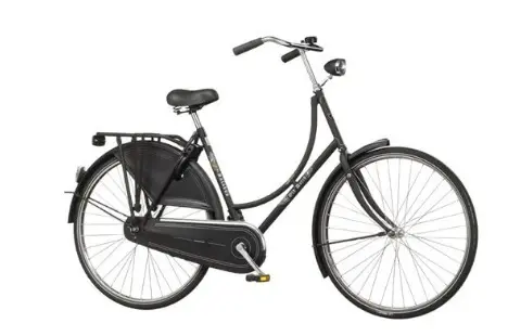 MTB for granny.webp