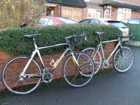 A Nice Pair.webp