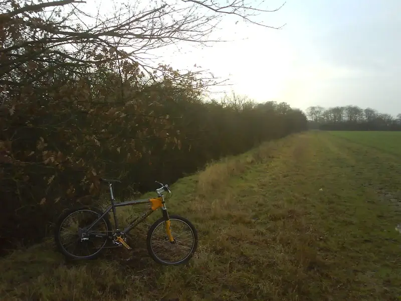Low winter sun.webp