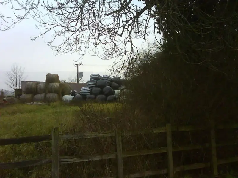 where everton mints are made.webp