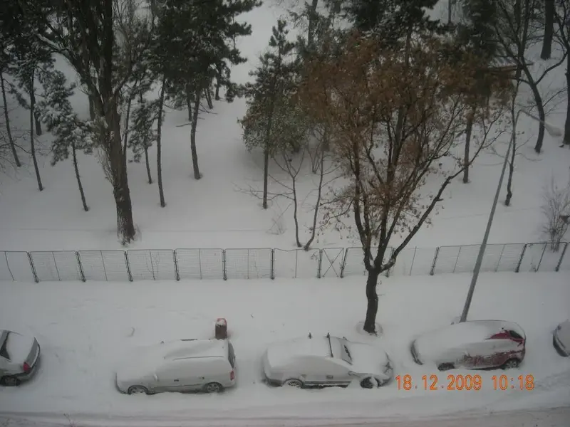DSCN7700.webp