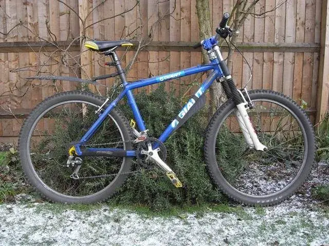 My old Giant bike2.webp