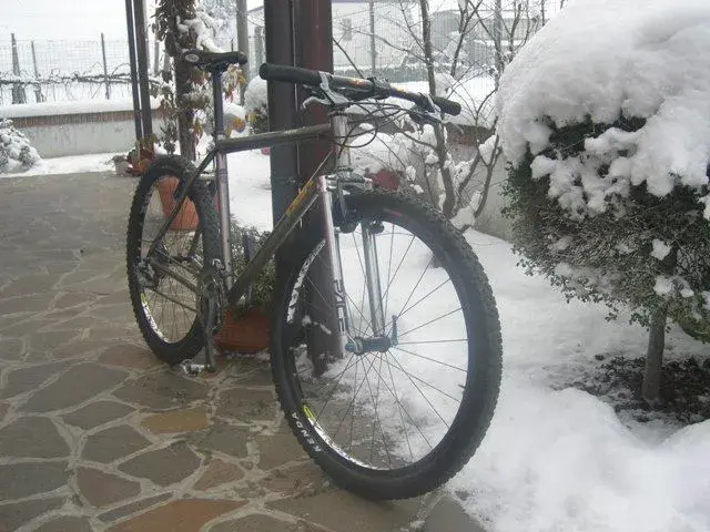 dbr con forca rigida 001.webp
