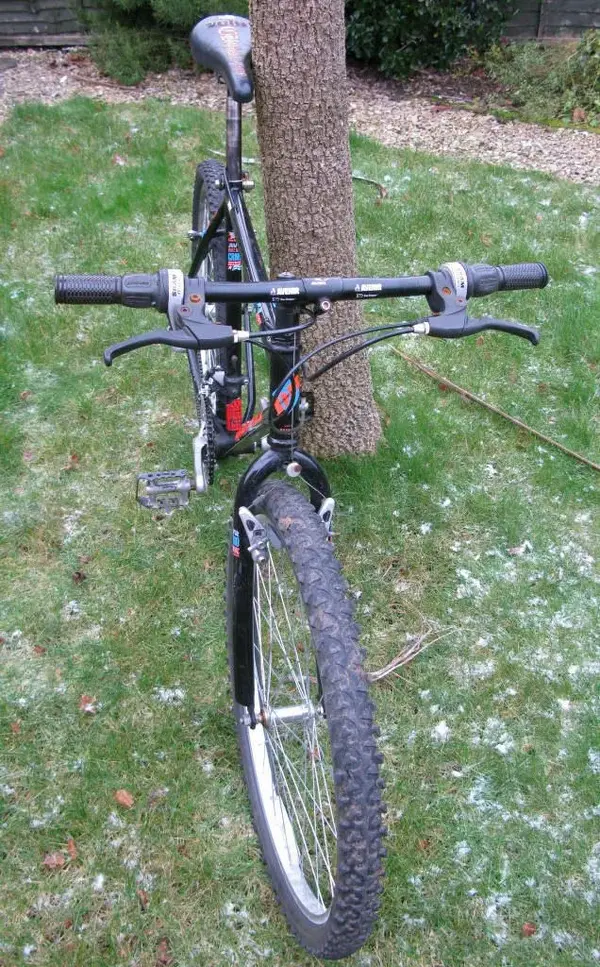 Apex front RB Size.webp