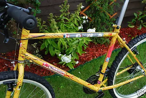 1990 Lava Dome size 20 frame.webp