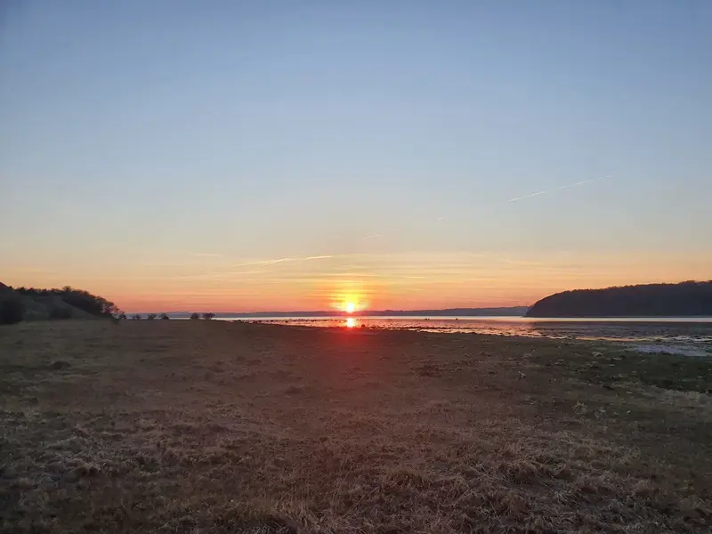 20220417_202026.jpg