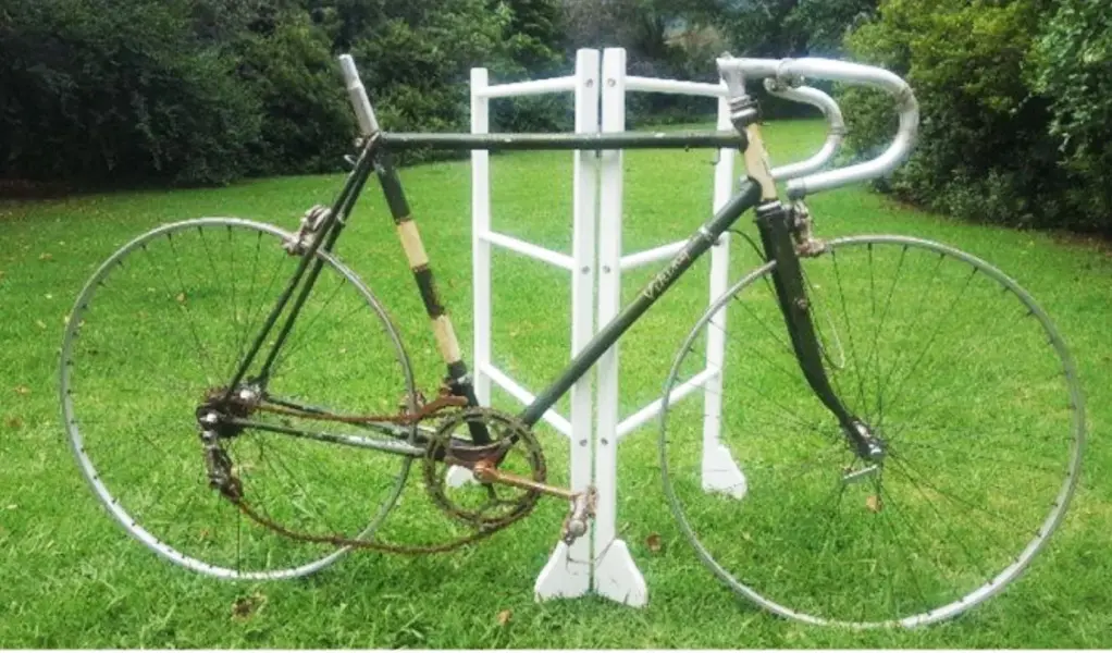 Viking 1963.webp