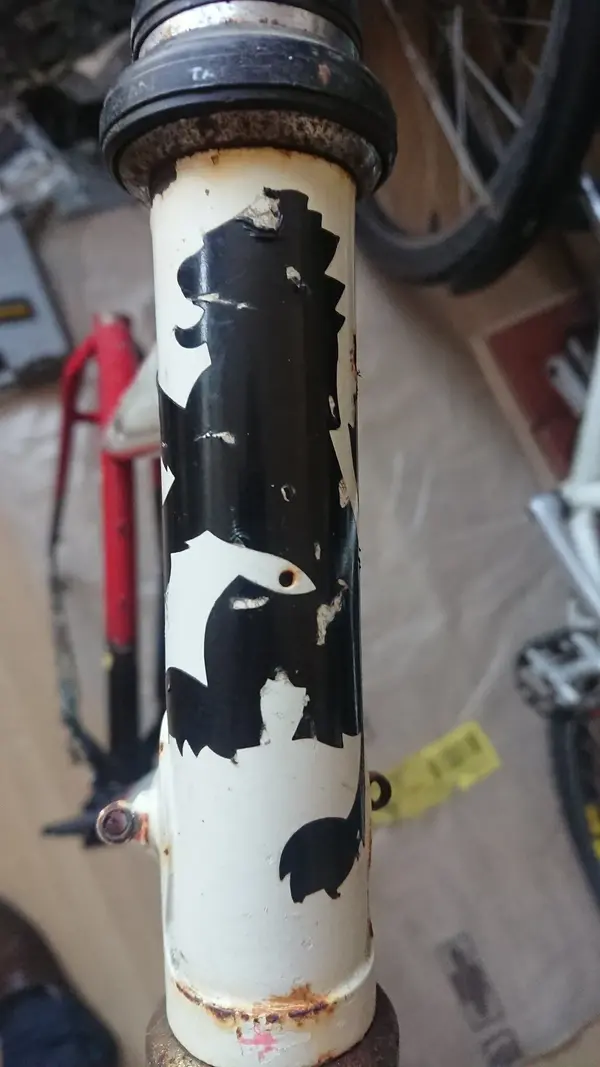 Head tube decal.webp