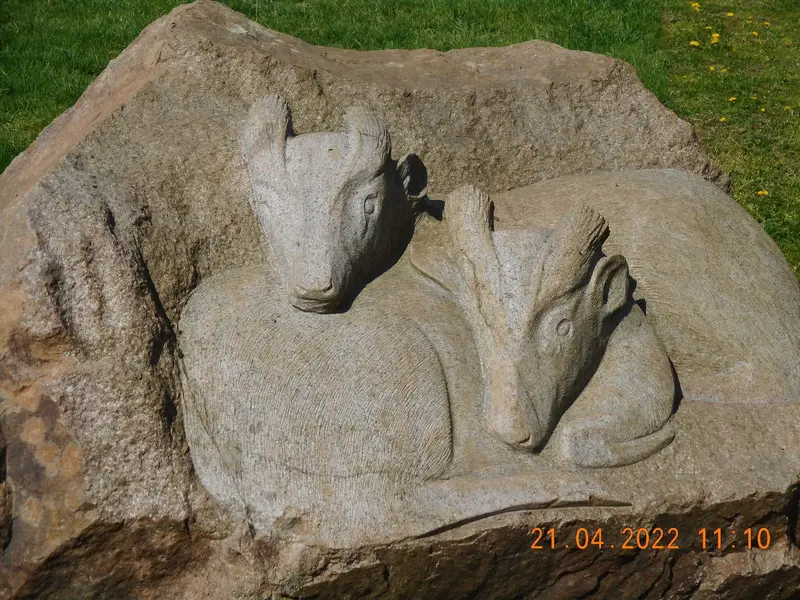 DSCN1777.JPG
