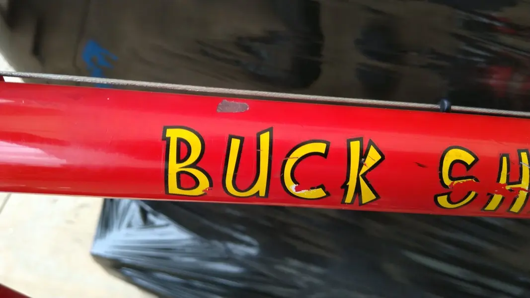 BUCK TT 2.webp