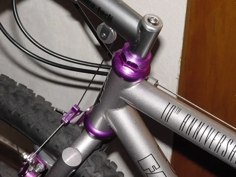 DSC00009.webp