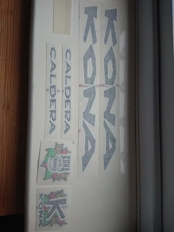 DSC_1467.webp