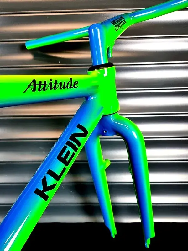 attitude_gator-09.jpg