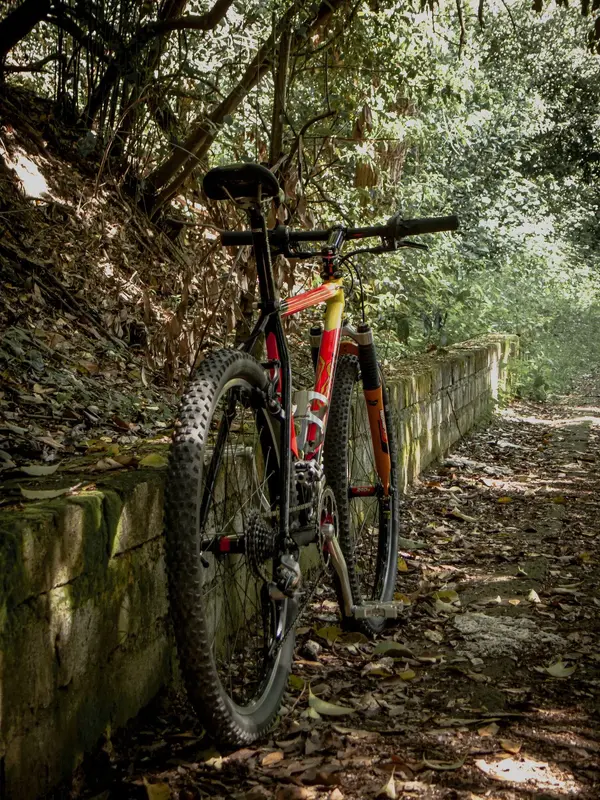 GaryFisher_91Procaliber_Rear.webp