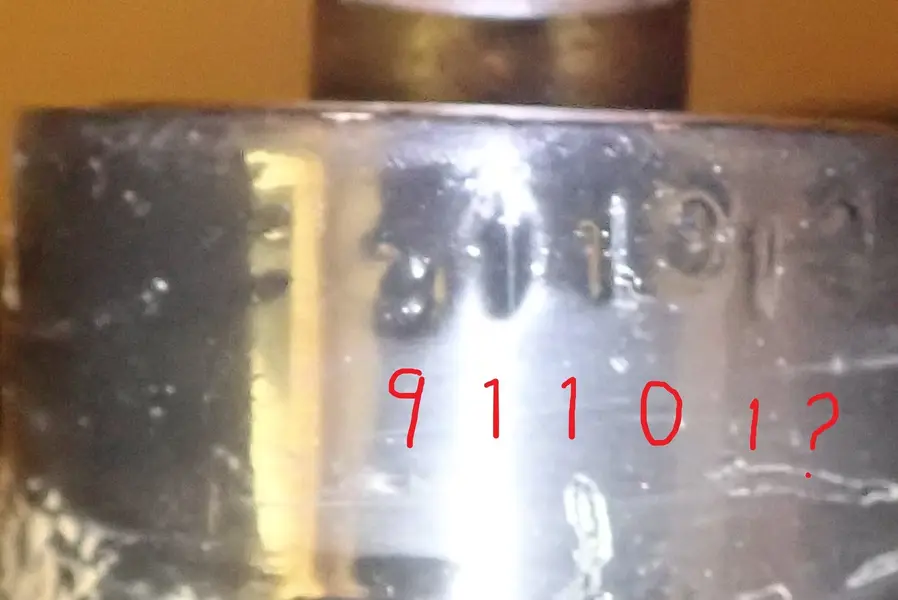 P5120021.webp