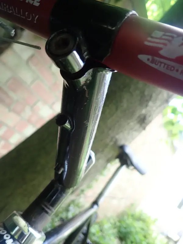 P5120044.webp