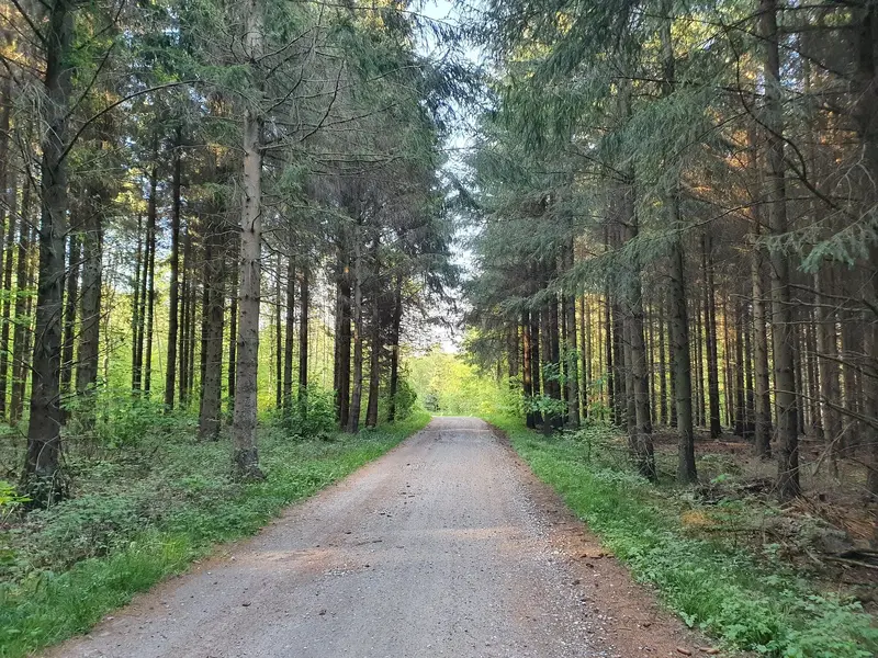 20220515_190040.jpg