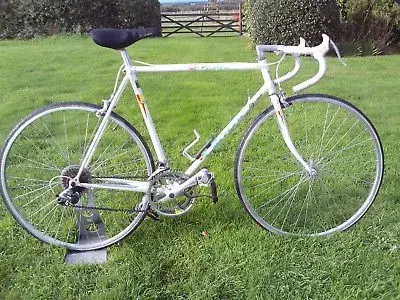 Carrera Tony Doyle.webp