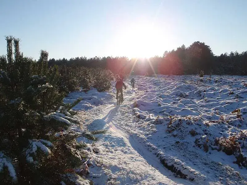 Thetford1.webp