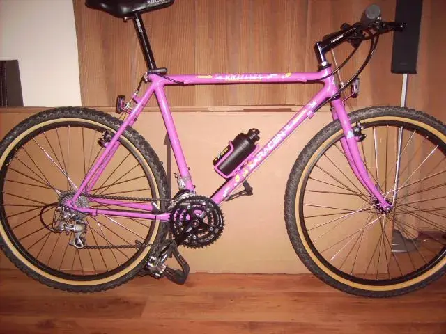 Saracen 001.webp