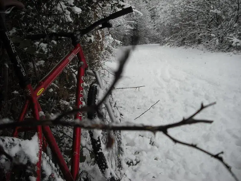 snow060110 021 (Medium).webp