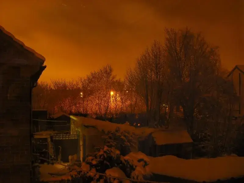 snow08012010 004 (Medium).webp