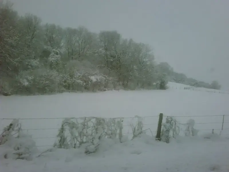 picturesque.webp