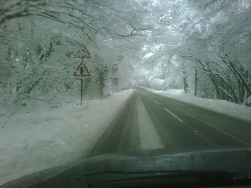 snow snow and more snow.webp