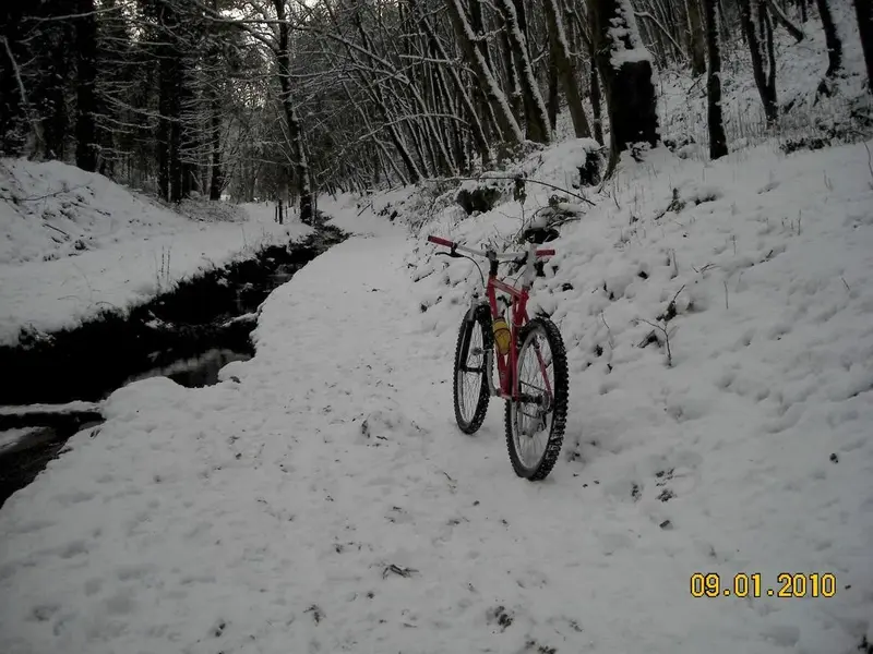 DSCN0232.webp
