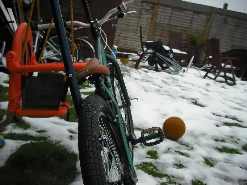 snow08012010 013 (Medium).webp