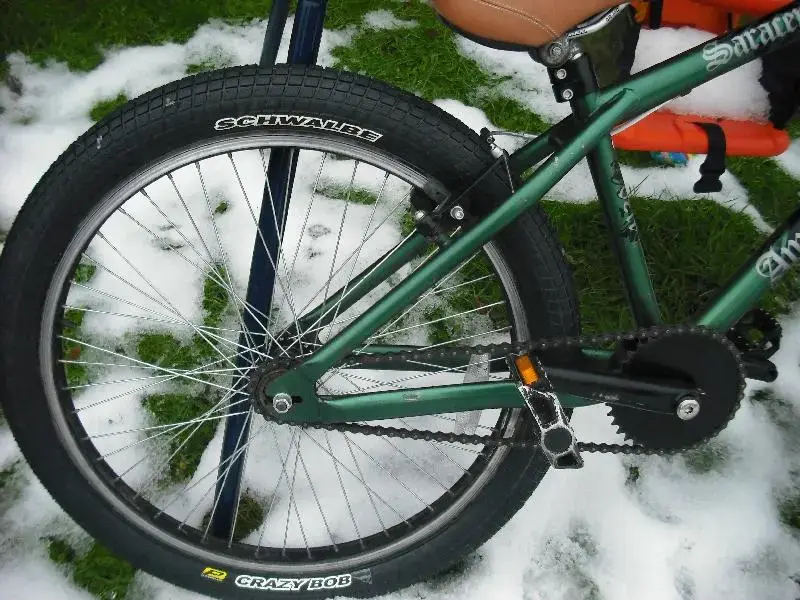 snow08012010 012 (Medium).webp