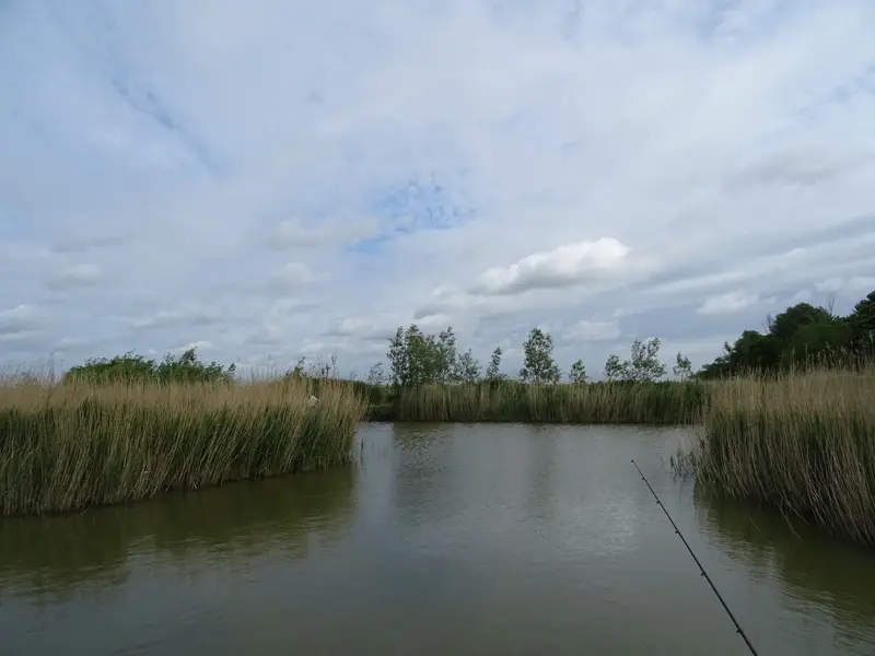 DSC00879.webp