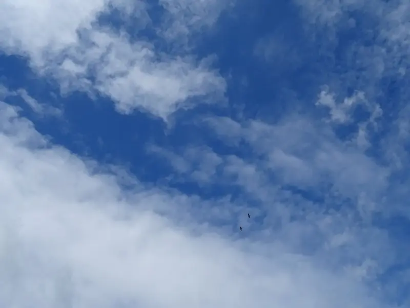 DSC00880.webp