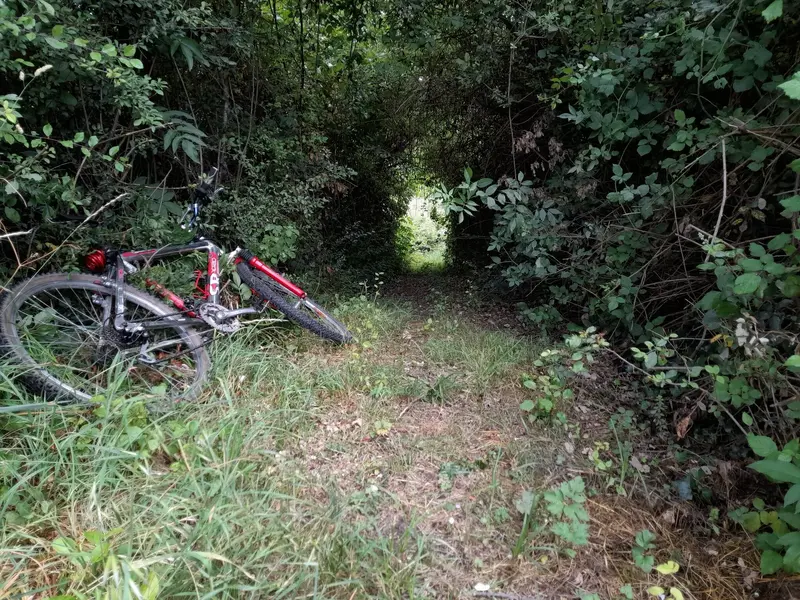 20220602_140158.webp