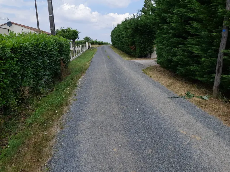 20220603_135711.jpg