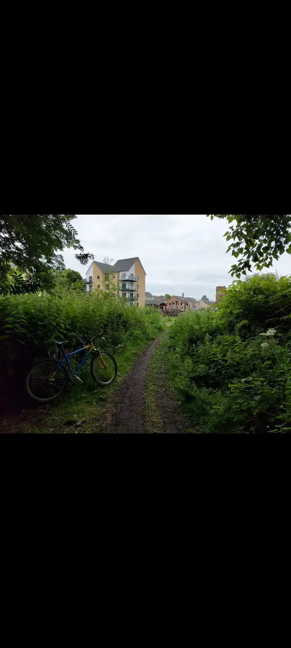 Screenshot_20220606-172825_Gallery.webp