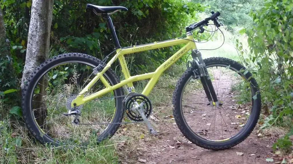 Saracen 2.webp