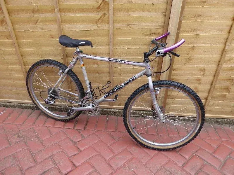 Diamond back Ascent EX 0001.webp