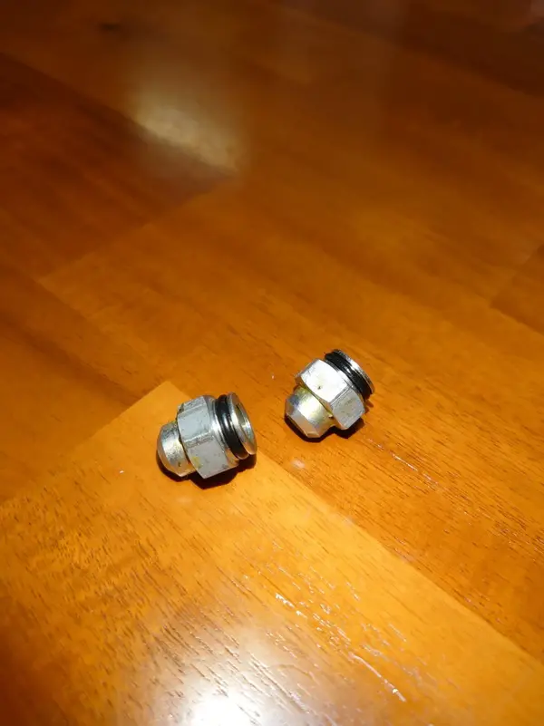 foot nuts.webp