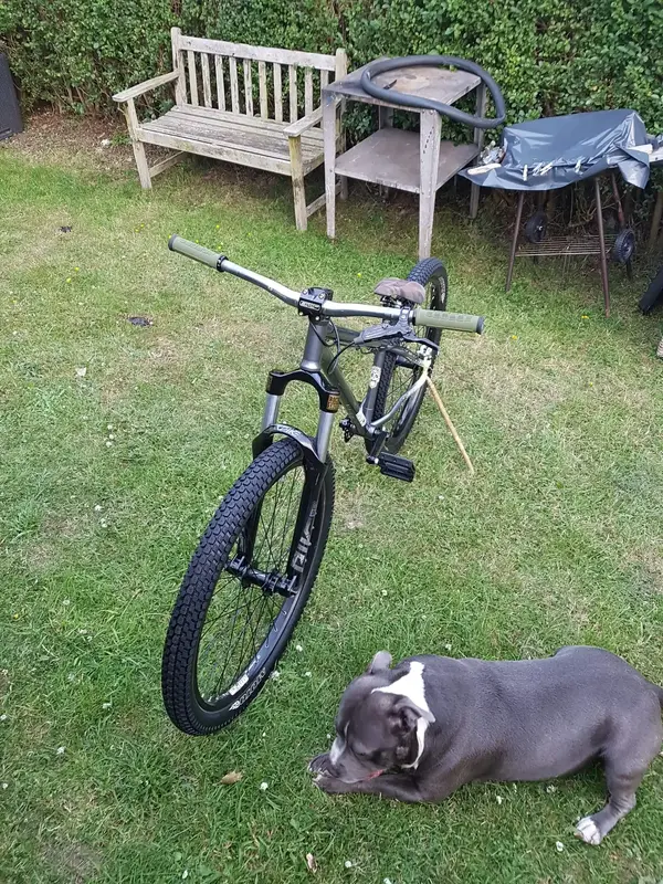 norco 3.webp