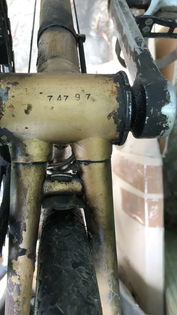 1942993F-EB5E-46F2-A2B6-A82B337B9BB0.webp