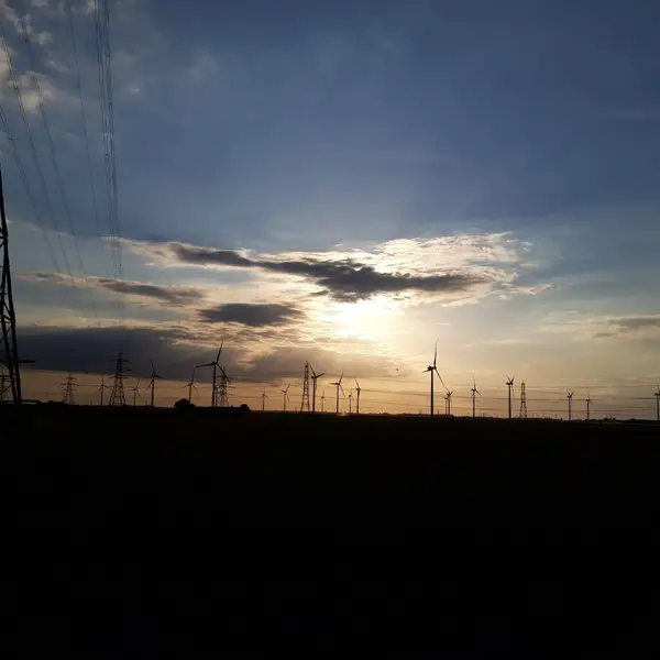 20220621_201130.webp