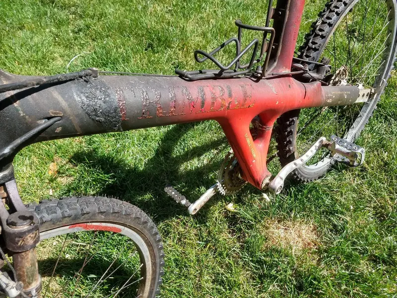 IMG_20220624_102220060_HDR.webp