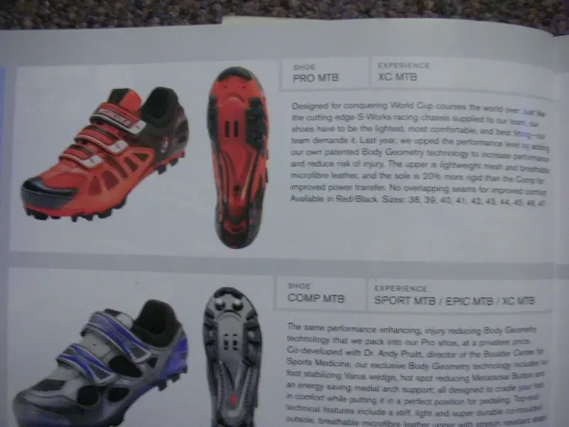 BG catalogue.webp