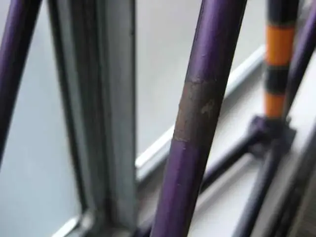frame1.webp