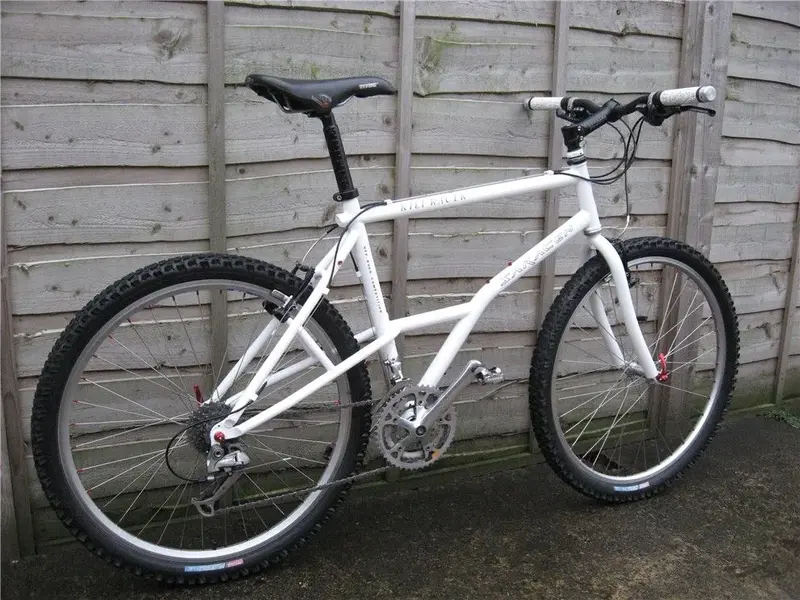white kili b.webp