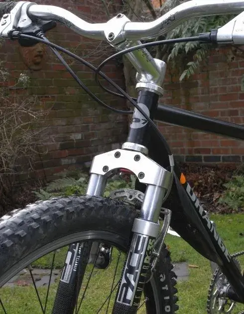 P7 fork and stem.webp