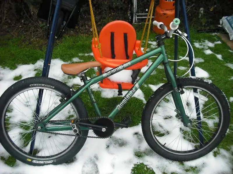 snow08012010 011 (Medium).webp