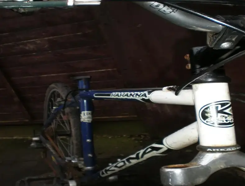 kona 2.webp